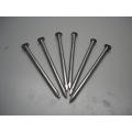 Hot Dipped Galvanized Round Common Nail